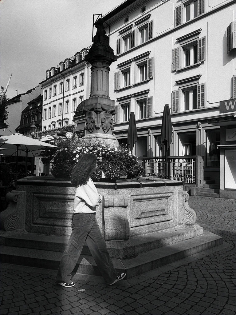 lucerne fontaine web